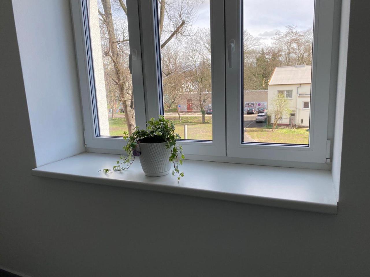 Apartament Perla Hradce 103 Hradec Králové Zewnętrze zdjęcie